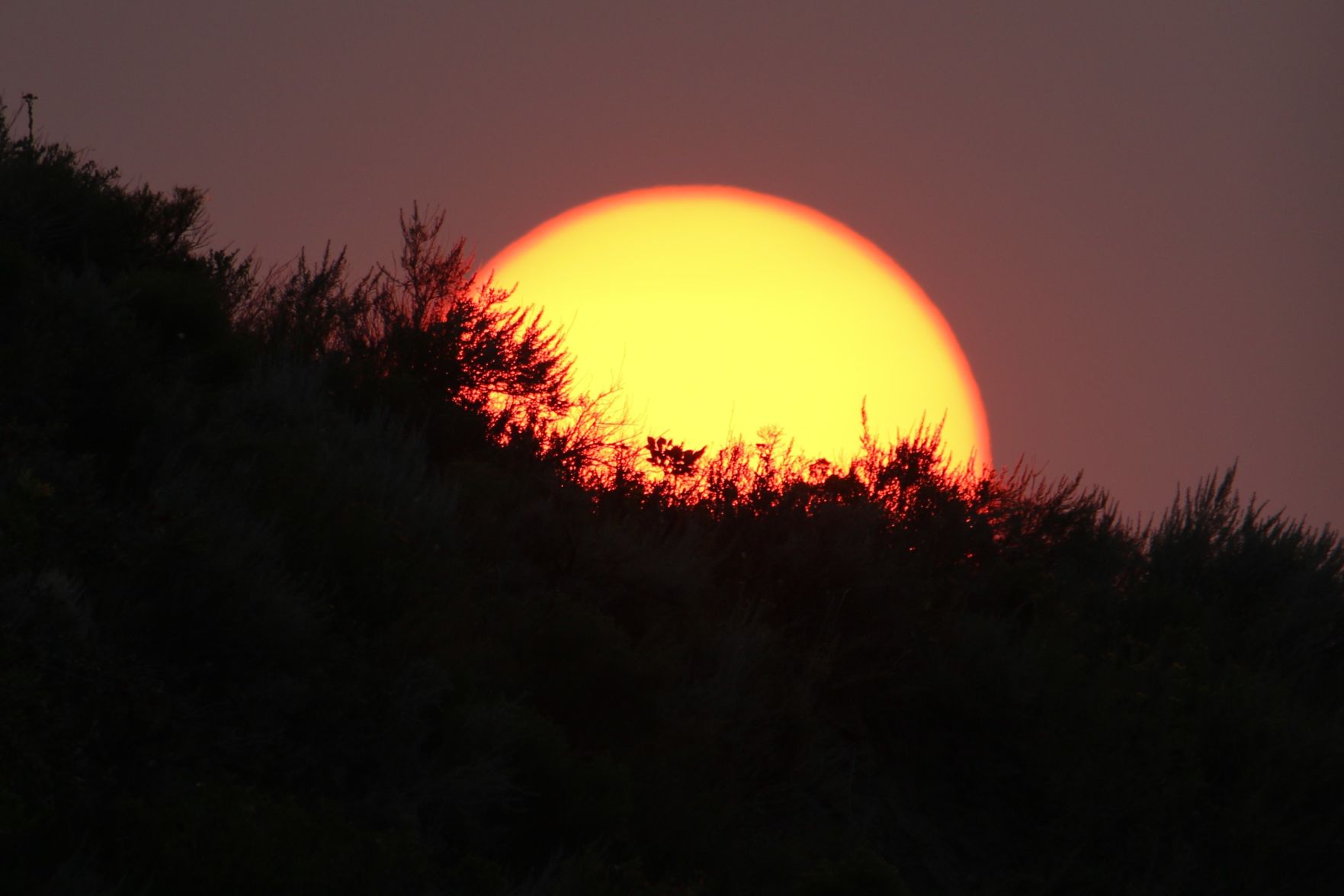 Smokey Sunset
